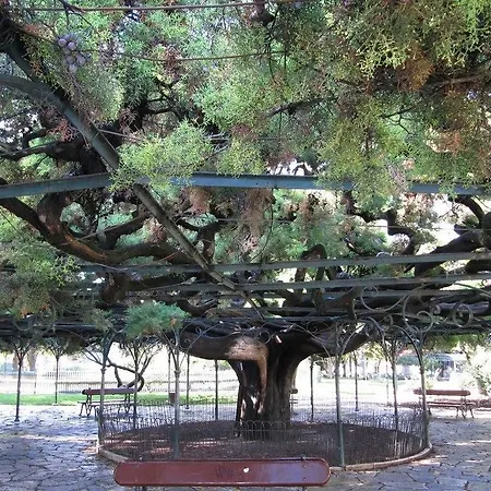 Appartamento Myplace - Principe Real Studio Lisbona