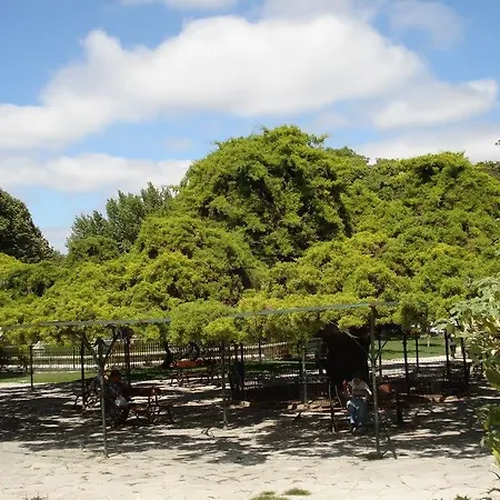 Appartamento Myplace - Principe Real Studio Lisbona